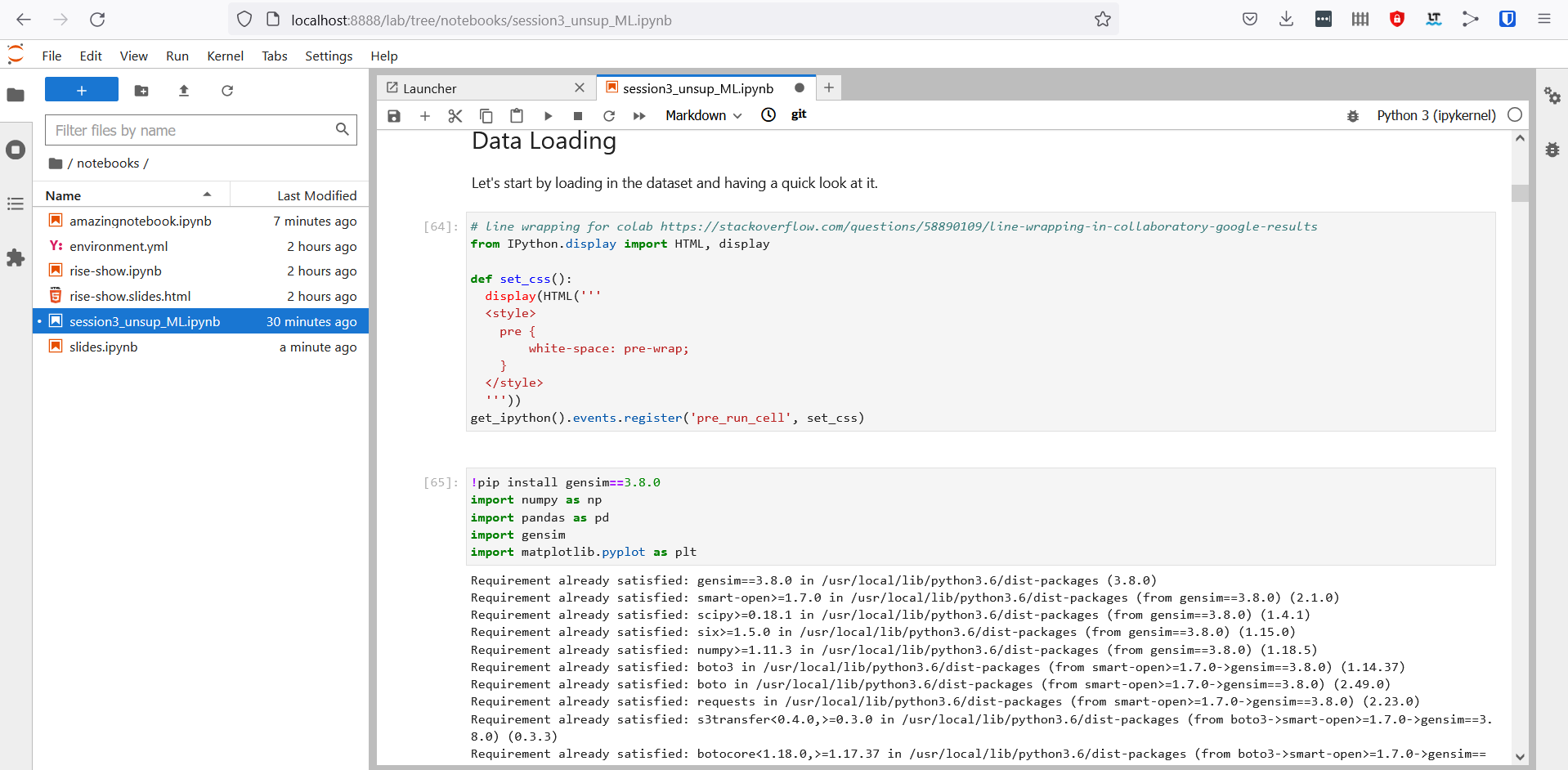 Screenshot of Jupyter Lab